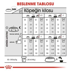 Royal Canin CCN Kısırlaştırılmış Mini Irk Yetişkin Köpek Maması 3 kg - 4