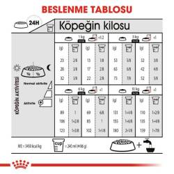 Royal Canin CCN Kısırlaştırılmış Mini Irk Yetişkin Köpek Maması 3 kg - 4
