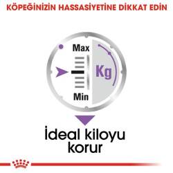 Royal Canin CCN Sterilised Pouch Kısırlaştırılmış Yetişkin Köpek Konservesi 85 gr - 4