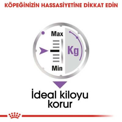 Royal Canin CCN Sterilised Pouch Kısırlaştırılmış Yetişkin Köpek Konservesi 85 gr - 4