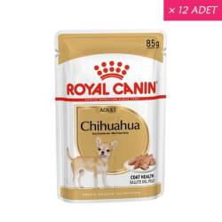 Royal Canin Chihuahua Adult Pouch Yetişkin Köpekler İçin Konserve 85 Grx12 Adet - Royal Canin