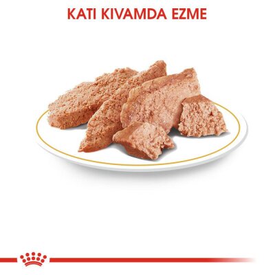 Royal Canin Chihuahua Adult Pouch Yetişkin Köpekler İçin Konserve 85 Grx12 Adet - 3