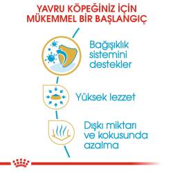 Royal Canin Chihuahua Yavru Köpek Maması 1,5 kg - 3