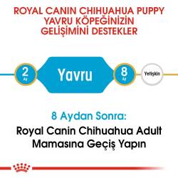 Royal Canin Chihuahua Yavru Köpek Maması 1,5 kg - 4