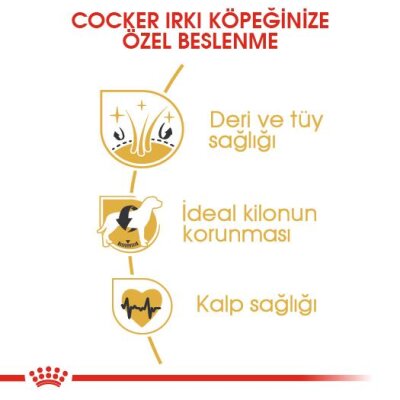 Royal Canin Cocker Özel Irk Yetişkin Köpek Maması 3 kg - 5