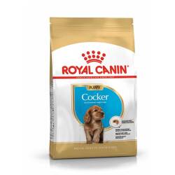 Royal Canin Cocker Puppy Yavru Köpek Maması 3 Kg - Royal Canin