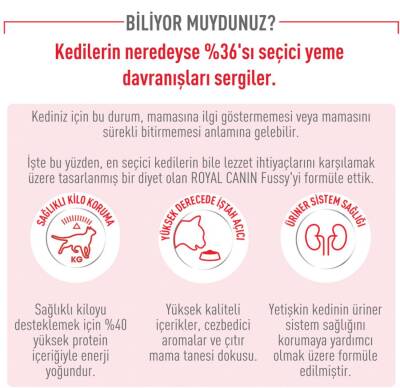 Royal Canin Fussy Exigent 35/30 Seçici Kedilere Özel Mama 4 kg - 3