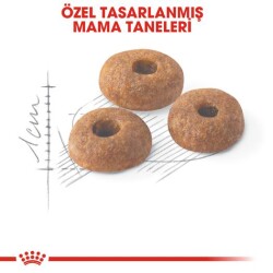 Royal Canin Fit 32 Yetişkin Kedi Maması 15 kg - 3