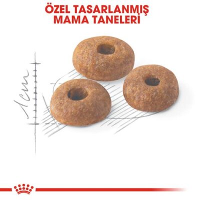 Royal Canin Fit 32 Yetişkin Kedi Maması 15 kg - 3
