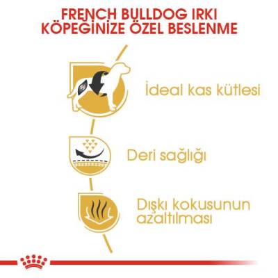 Royal Canin French Bulldog Yetişkin Köpek Maması 3 kg - 4