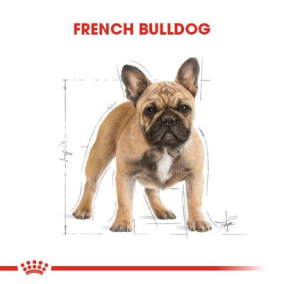 Royal Canin French Bulldog Yetişkin Köpek Maması 3 kg - 4