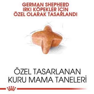 Royal Canin German Shepherd Alman Kurduna Özel Yetişkin Köpek Maması 11 kg - 2
