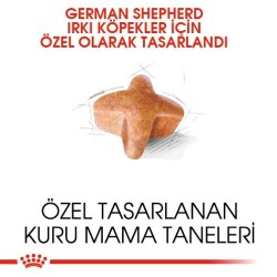 Royal Canin German Shepherd Alman Kurduna Özel Yetişkin Köpek Maması 11 kg - 2