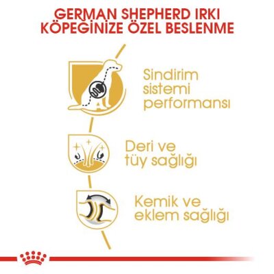 Royal Canin German Shepherd Alman Kurduna Özel Yetişkin Köpek Maması 11 kg - 3