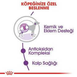 Royal Canin Giant Dev Irk Yetişkin Köpek Maması 15 kg - 2