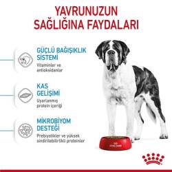 Royal Canin Giant Dev Irk Yavru Köpek Maması 15 kg - 3