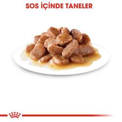 Royal Canin Gravy Pouch Kısırlaştırılmış Kediler İçin Konserve 85 gr X12 Adet - 5