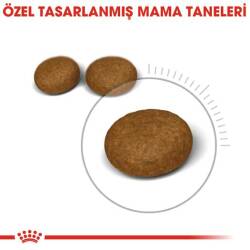 Royal Canin Hair & Skin Hassas Tüylü Kediler İçin Mama 2 kg - 3