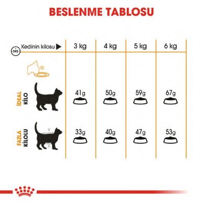 Royal Canin Hair & Skin Hassas Tüylü Kediler İçin Mama 2 kg - 5