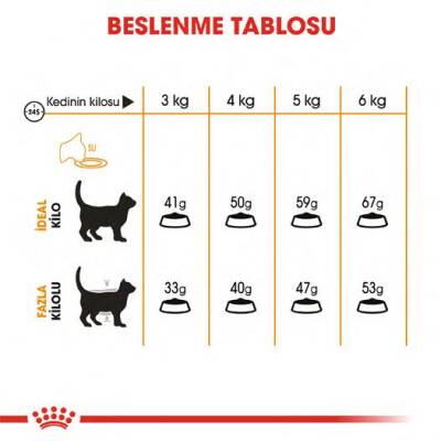Royal Canin Hair & Skin Hassas Tüylü Kediler İçin Mama 4 kg - 4