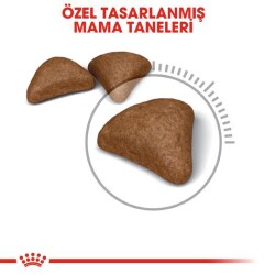 Royal Canin Hairball Tüy Yumağı İçin Kedi Maması 34 2 kg - 3