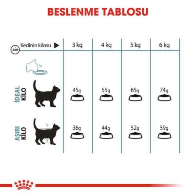 Royal Canin Hairball Tüy Yumağı İçin Kedi Maması 34 2 kg - 4