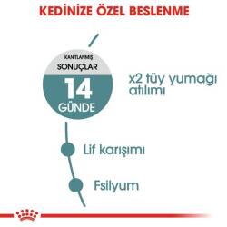 Royal Canin Hairball Tüy Yumağı İçin Kedi Maması 34 2 kg - 2