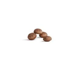 Royal Canin Healthy Ageing 11+ Yaşlı Kedi Maması 2 Kg - 2