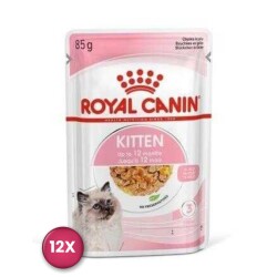 Royal Canin Kitten In Jelly Yavru Kedi Konservesi 85 gr x 12 Adet - Royal Canin
