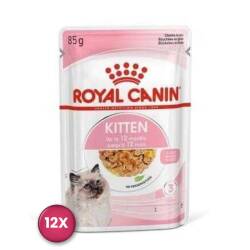 Royal Canin Kitten In Jelly Yavru Kedi Konservesi 85 gr x 12 Adet - Royal Canin