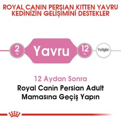 Royal Canin Kitten Persian 32 Yavru Iran Kedilerine Özel Mama 2 kg - 3