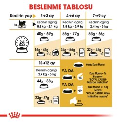 Royal Canin Kitten Persian 32 Yavru Iran Kedilerine Özel Mama 2 kg - 4