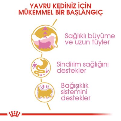 Royal Canin Kitten Persian 32 Yavru Iran Kedilerine Özel Mama 2 kg - 2