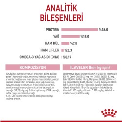 Royal Canin Kitten Yavru Kedi Maması 10 kg - 4