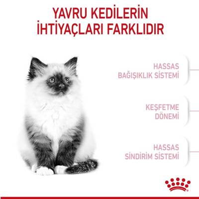Royal Canin Kitten Yavru Kedi Maması 2 kg - 2