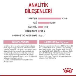 Royal Canin Kitten Yavru Kedi Maması 2 kg - 4