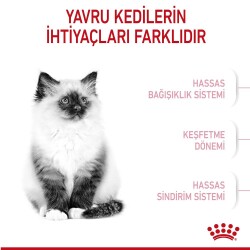 Royal Canin Kitten Yavru Kedi Maması 4 kg - 2