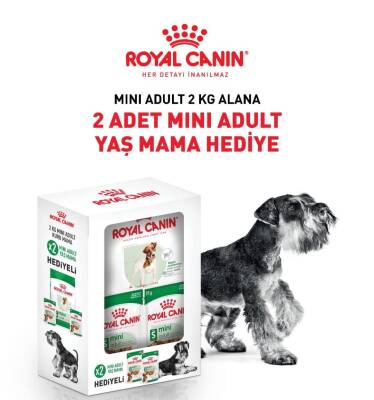 Royal Canin Mini Adult Küçük Irk Yetişkin Köpek Maması 2 Kg + 2 Adet Pouch Hediyeli - 1