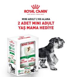 Royal Canin Mini Adult Küçük Irk Yetişkin Köpek Maması 2 Kg + 2 Adet Pouch Hediyeli - Royal Canin