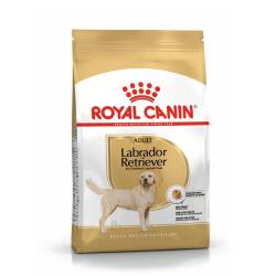 Royal Canin Labrador Retriever Yetişkin Köpek Maması 12 kg - Royal Canin