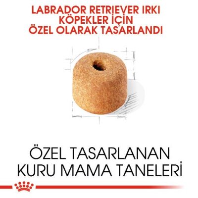 Royal Canin Labrador Retriever Yetişkin Köpek Maması 12 kg - 2