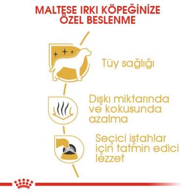 Royal Canin Maltese Terrier Yetişkin Köpek Maması 1,5 kg - 5