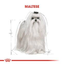 Royal Canin Maltese Terrier Yetişkin Köpek Maması 1,5 kg - 4