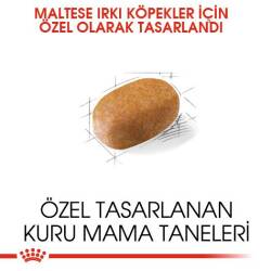 Royal Canin Maltese Terrier Yetişkin Köpek Maması 1,5 kg - 5