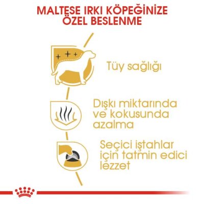 Royal Canin Maltese Terrier Yetişkin Köpek Maması 1,5 kg - 6