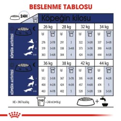 Royal Canin Maxi Adult Büyük Irk Yetişkin Köpek Maması 15 kg - 8
