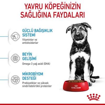 Royal Canin Maxi Puppy Büyük Irk Yavru Köpek Maması 15 kg - 2