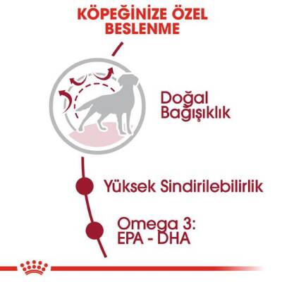 Royal Canin Medium Adult Orta Irk Yetişkin Köpek Maması 15 kg - 2