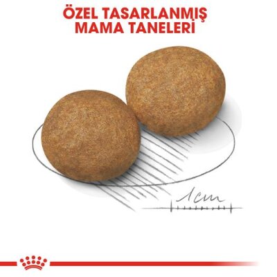 Royal Canin Medium Adult Orta Irk Yetişkin Köpek Maması 15 kg - 4