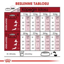 Royal Canin Medium Adult Orta Irk Yetişkin Köpek Maması 15 kg - 5
